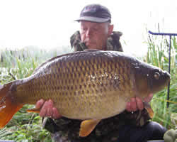 2410bbc